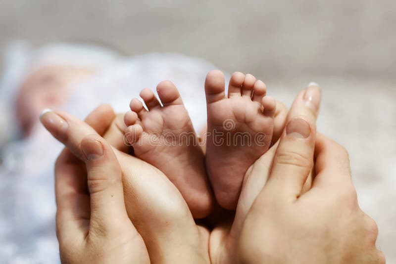 Τα πόδια μωρών στα χέρια μητέρων, μικροσκοπικά νεογέννητα πόδια μωρών ` s στο θηλυκό διαμόρφωσαν την κινηματογράφηση σε πρώτο πλά στοκ εικόνα Τα πόδια μωρών στα χέρια μητέρων, μικροσκοπικά νεογέννητα πόδια μωρών ` s στο θηλυκό διαμόρφωσαν την κινηματογράφηση σε πρώτο πλά στοκ εικόνα