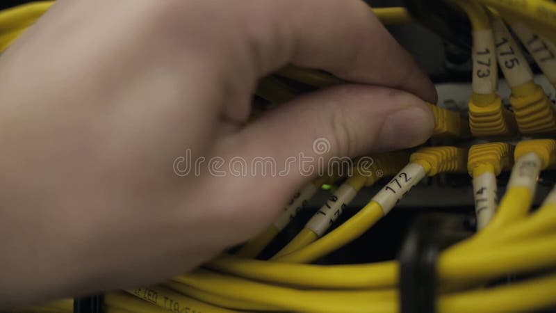 Τα χέρια ελέγχουν το ράφι κεντρικών υπολογιστών απόθεμα βίντεο