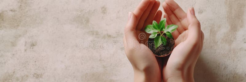 τα χέρια είναι ευκίνητα, δεμένα σε ένα μικρό φυτό που δείχνει φροντίδα και σύνδεση με τη φύση σε ένα γαλήνιο εσωτερικό χώρο. τεχνητό