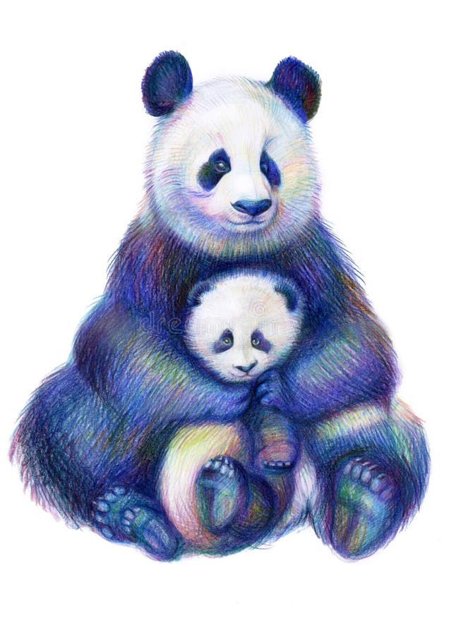 Τα χρωματισμένα μολύβια που σύρουν το panda ουράνιων τόξων αντέχουν την οικογένεια απεικόνιση αποθεμάτων