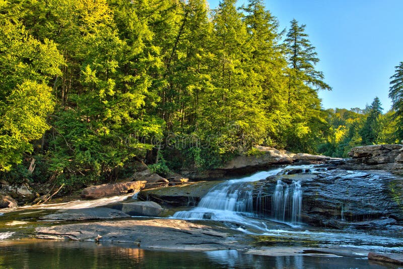 A view of trees showing fall colors at Swallow Falls, located in Swallow Falls State Park, near Deep Creek Lake in Maryland. A view of trees showing fall colors at Swallow Falls, located in Swallow Falls State Park, near Deep Creek Lake in Maryland