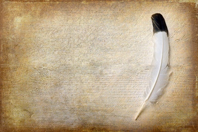 Eagle feather lying on a grunge piece of wood with copy space. Eagle feather lying on a grunge piece of wood with copy space