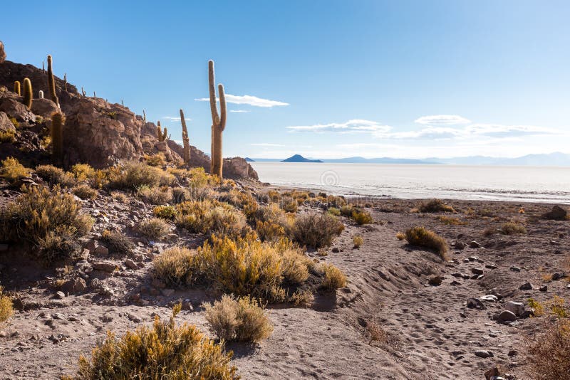 Τεράστιο Salar de Uyuni κάκτων φυσικό τοπίο βουνών νησιών στοκ φωτογραφία με δικαίωμα ελεύθερης χρήσης Τεράστιο Salar de Uyuni κάκτων φυσικό τοπίο βουνών νησιών στοκ φωτογραφία με δικαίωμα ελεύθερης χρήσης