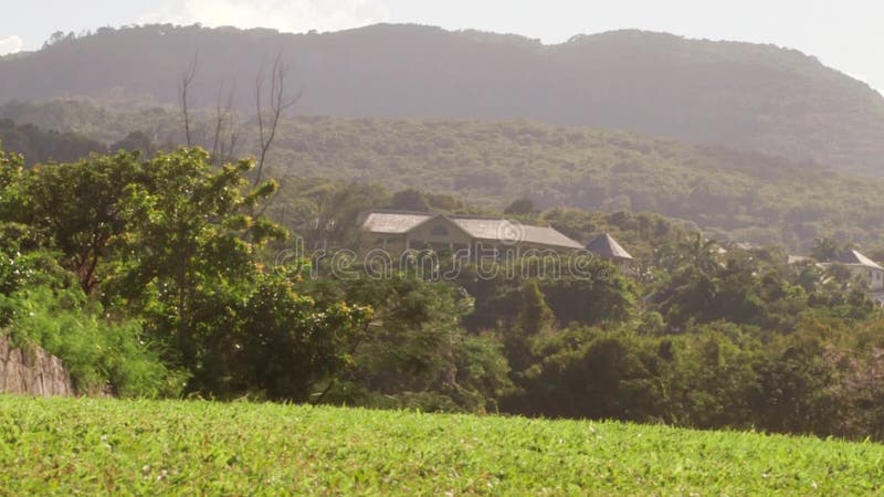 Τζαμαϊκανός δευτερεύων τροπικός παράδεισος χωρών βουνών
