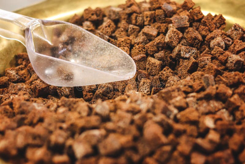Τηγανισμένα φρυγανιά ή croutons από το ψωμί σίκαλης στοκ φωτογραφίες με δικαίωμα ελεύθερης χρήσης