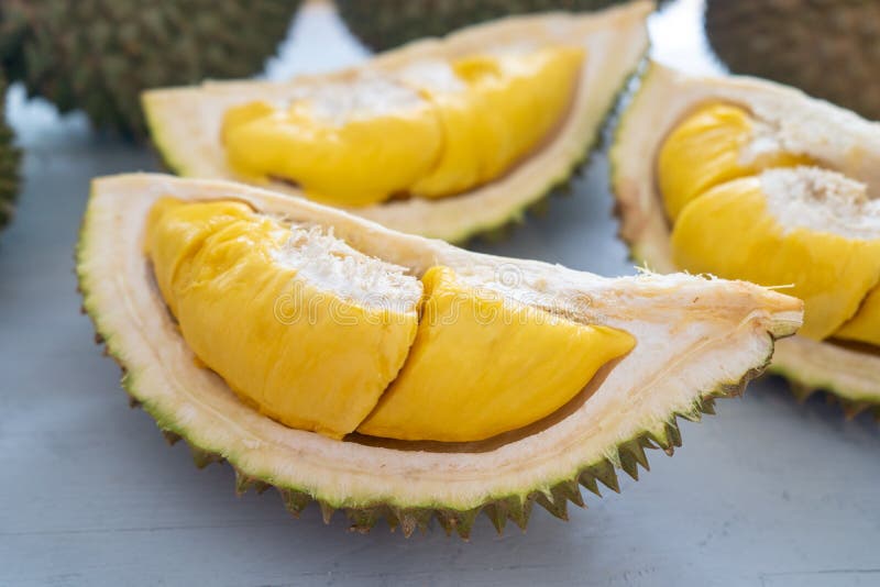 Της Μαλαισίας διάσημος βασιλιάς musang φρούτων durian