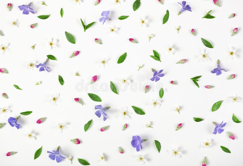 Το Floral σχέδιο φιαγμένο από άνοιξη ανθίζει, ιώδη wildflowers, ρόδινοι οφθαλμοί και φύλλα που απομονώνονται στο άσπρο υπόβαθρο Ε στοκ εικόνες με δικαίωμα ελεύθερης χρήσης Το Floral σχέδιο φιαγμένο από άνοιξη ανθίζει, ιώδη wildflowers, ρόδινοι οφθαλμοί και φύλλα που απομονώνονται στο άσπρο υπόβαθρο Ε στοκ εικόνες με δικαίωμα ελεύθερης χρήσης