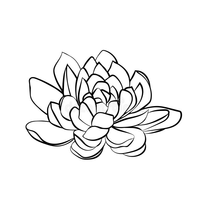 Το Lotus ανθίζει το εικονίδιο απεικόνιση αποθεμάτων Το Lotus ανθίζει το εικονίδιο απεικόνιση αποθεμάτων