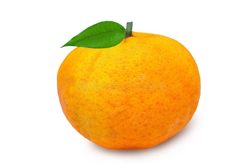 το mandarin ponkan απομονώθηκε σε συμπεριλαμβανόμενη διαδρομή αποκοπής λευκού φόντου. το πορτοκάλι, το πορτοκάλι, το πορτοκάλι, το πορτοκάλι, είναι ένα γλυκό εσπεριδοειδές υψηλής απόδοσης με μεγάλα φρούτα, σε μέγεθος πορτοκαλί. είναι ένα υβρίδιο εσπεριδοειδών αν και κάποτε θεωρούνταν καθαρό μανταρίνι.