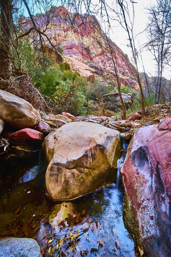 Το Tranquil Stream και οι βραχίονες Sandstone σε θέα χαμηλής γωνίας στο φαράγγι Pine Creek στοκ φωτογραφίες με δικαίωμα ελεύθερης χρήσης