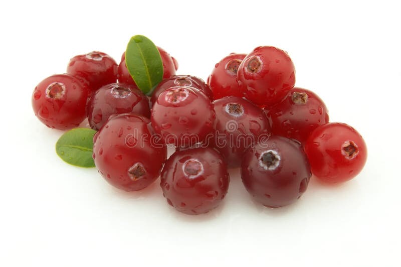 Ώριμο cranberry στοκ εικόνες