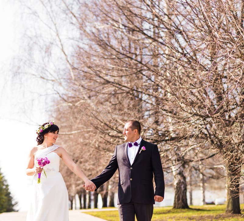 Το γαμήλιο θέμα, κράτημα δίνει newlyweds στοκ φωτογραφία με δικαίωμα ελεύθερης χρήσης