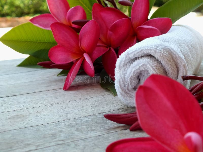 Το δωμάτιο μασάζ SPA καλωσορίζει τους τουρίστες στοκ φωτογραφίες Το δωμάτιο μασάζ SPA καλωσορίζει τους τουρίστες στοκ φωτογραφίες