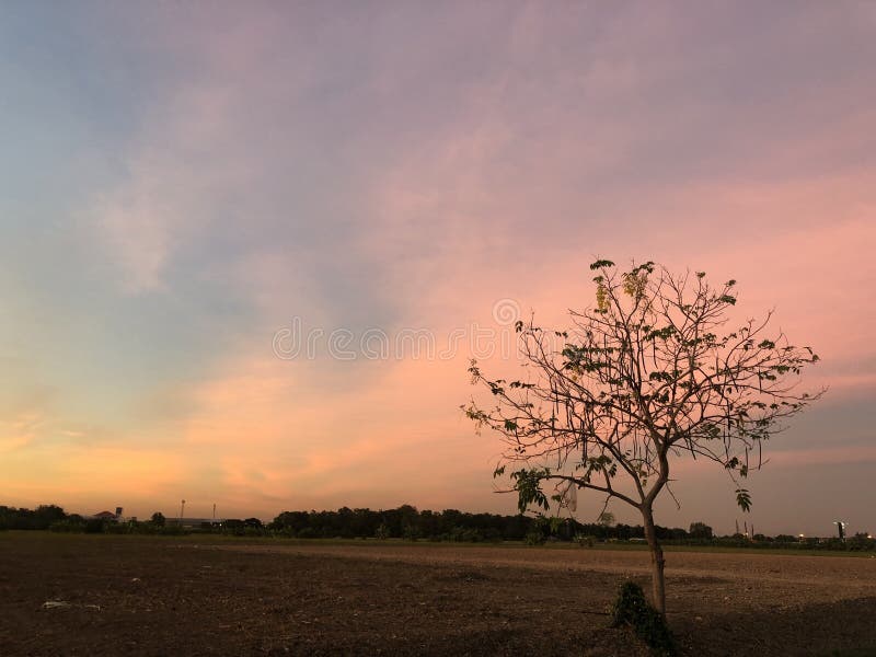 The sunset in the evening causes the sky to change color every day. The sunset in the evening causes the sky to change color every day.