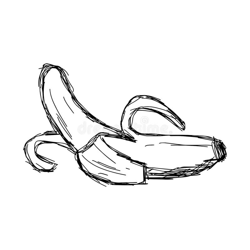 Το διανυσματικό χέρι doodle απεικόνισης που σύρεται ξεφλουδισμένης της σκίτσο μπανάνας είναι απεικόνιση αποθεμάτων Το διανυσματικό χέρι doodle απεικόνισης που σύρεται ξεφλουδισμένης της σκίτσο μπανάνας είναι απεικόνιση αποθεμάτων