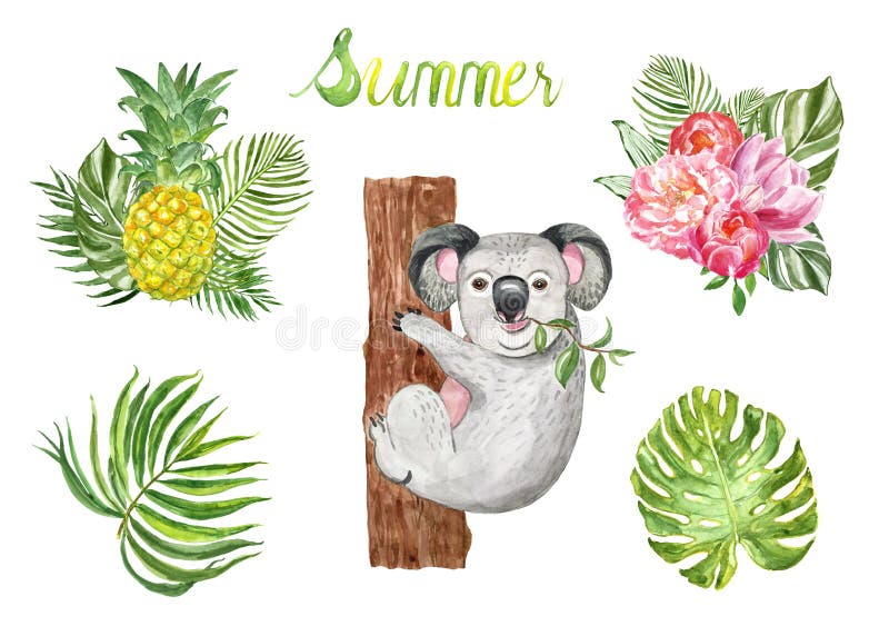 Το καλοκαίρι Watercolor που τίθεται με το χαριτωμένο koala αφορά και τροπικά φύλλα και φυτά, που απομονώνονται το άσπρο υπόβαθρο διανυσματική απεικόνιση Το καλοκαίρι Watercolor που τίθεται με το χαριτωμένο koala αφορά και τροπικά φύλλα και φυτά, που απομονώνονται το άσπρο υπόβαθρο διανυσματική απεικόνιση