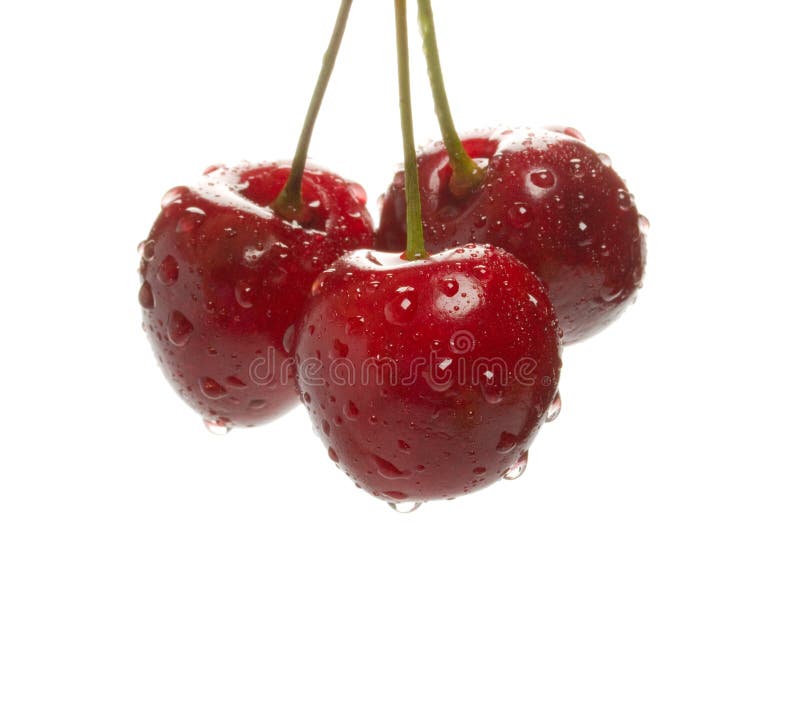 Sweet cherry with water drops. Sweet cherry with water drops