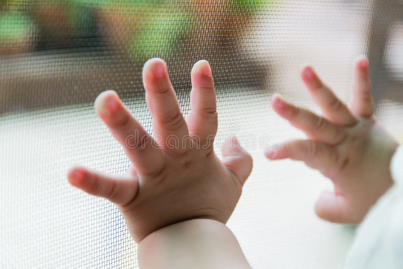 Το κουνούπι καθαρό στοκ φωτογραφία με δικαίωμα ελεύθερης χρήσης