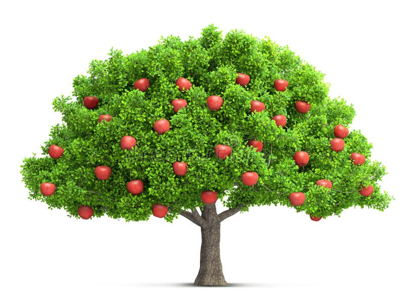 A red apple tree isolated 3D illustration. Isolation as additional in png format. A red apple tree isolated 3D illustration. Isolation as additional in png format.