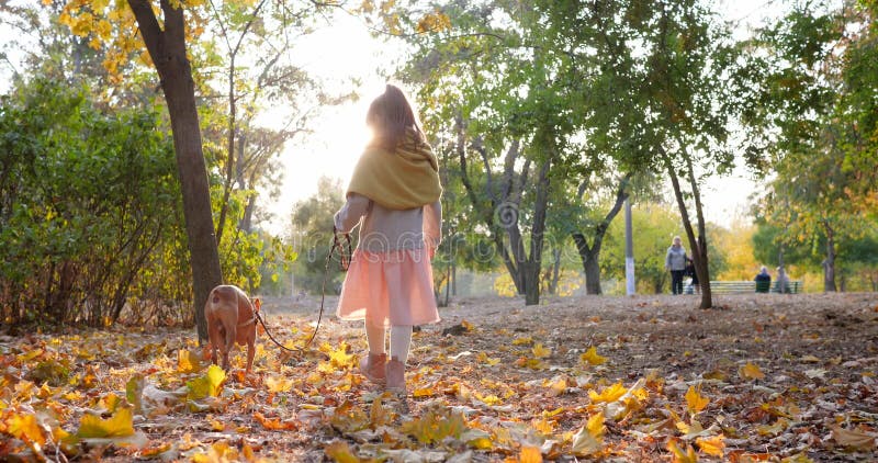 Το μικρό κορίτσι περπατά με το μικρό σκυλί στο λουρί στην ηλιόλουστη ημέρα στο πάρκο φθινοπώρου