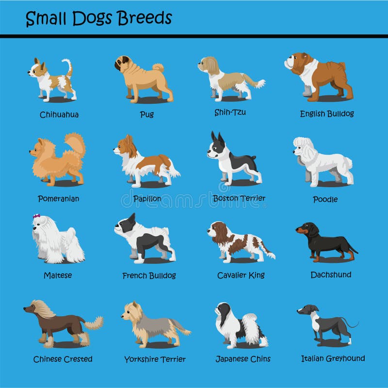 Το μικρό σκυλί αναπαράγει σκυλιών το χαριτωμένο κινούμενων σχεδίων σχέδιο κινούμενων σχεδίων σκυλιών κουταβιών σχεδίου διανυσματι