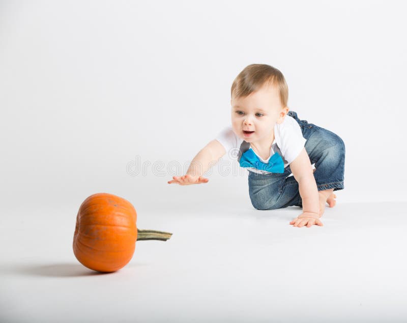 A cute 1 year old sits in a white studio setting with a pumpkin. The boy reaches out his arm towards a pumpkin in the distance. He is dressed in Tshirt, jeans, suspenders and blue bow tie. A cute 1 year old sits in a white studio setting with a pumpkin. The boy reaches out his arm towards a pumpkin in the distance. He is dressed in Tshirt, jeans, suspenders and blue bow tie