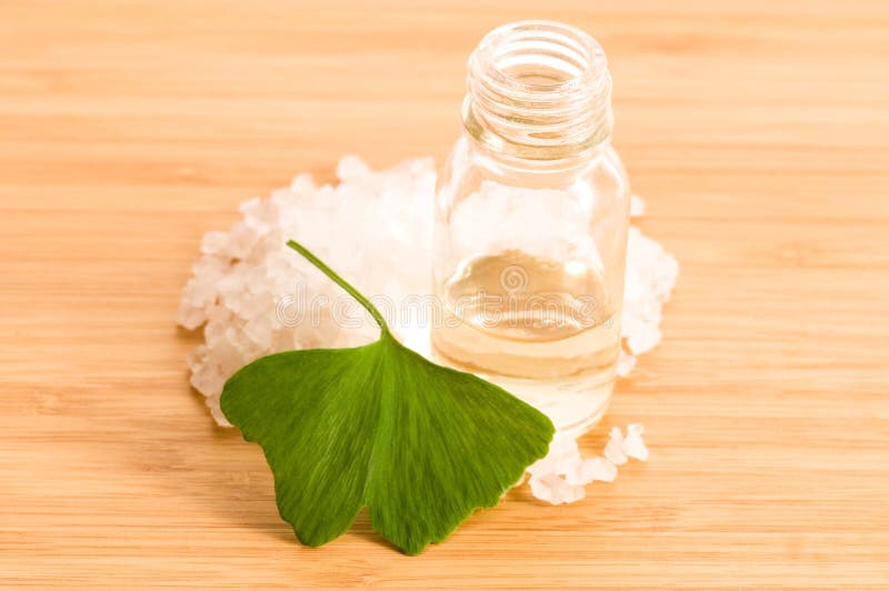 το ουσιαστικό φρέσκο ginko biloba &a στοκ εικόνες το ουσιαστικό φρέσκο ginko biloba &a στοκ εικόνες