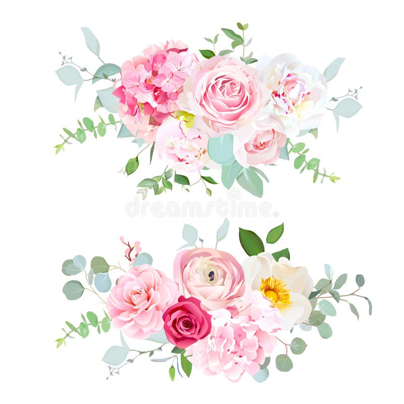 Το ρόδινο hydrangea, κόκκινο αυξήθηκε, άσπρος peony, καμέλια, βατράχιο, euc απεικόνιση αποθεμάτων