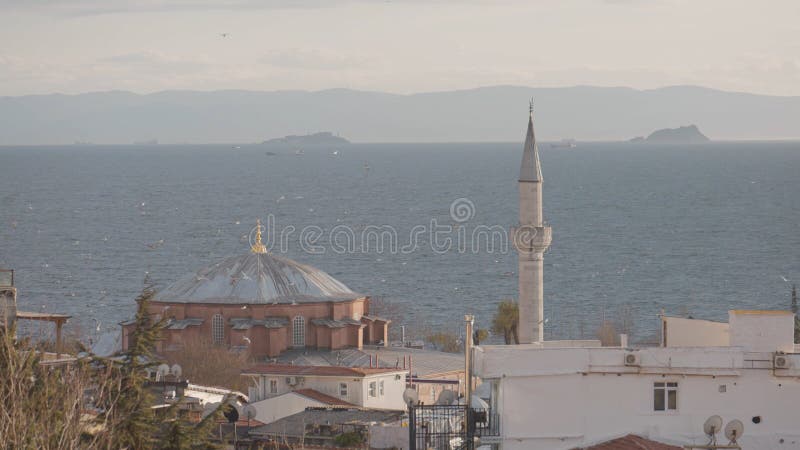 το τζαμί βρίσκεται στο φόντο της θάλασσας. ενέργεια. όμορφο τζαμί στην ακτή της θάλασσας περικυκλωμένο από γλάρους. παλιό τουρκικό στοκ εικόνες με δικαίωμα ελεύθερης χρήσης