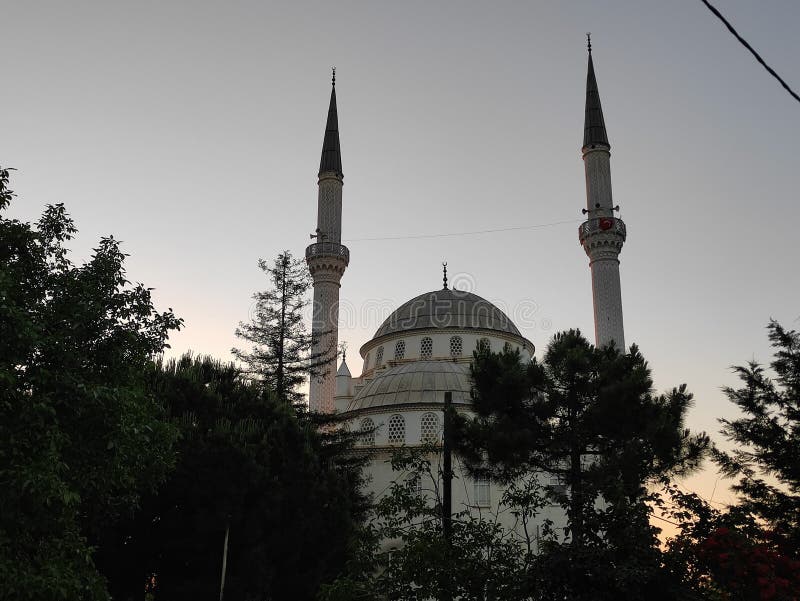 το τζαμί είναι εκπληκτικό με την εμφάνισή του στους θάμνους που το καλύπτουν στοκ εικόνες με δικαίωμα ελεύθερης χρήσης