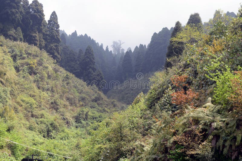 Το τοπίο σε ένα γύρω Darjeeling, Ινδία είναι πράσινο και όμορφο Είναι το φυσικό μέρος του Ιμαλαίαυ όπου κτήματα και garde τσαγιού στοκ εικόνες Το τοπίο σε ένα γύρω Darjeeling, Ινδία είναι πράσινο και όμορφο Είναι το φυσικό μέρος του Ιμαλαίαυ όπου κτήματα και garde τσαγιού στοκ εικόνες