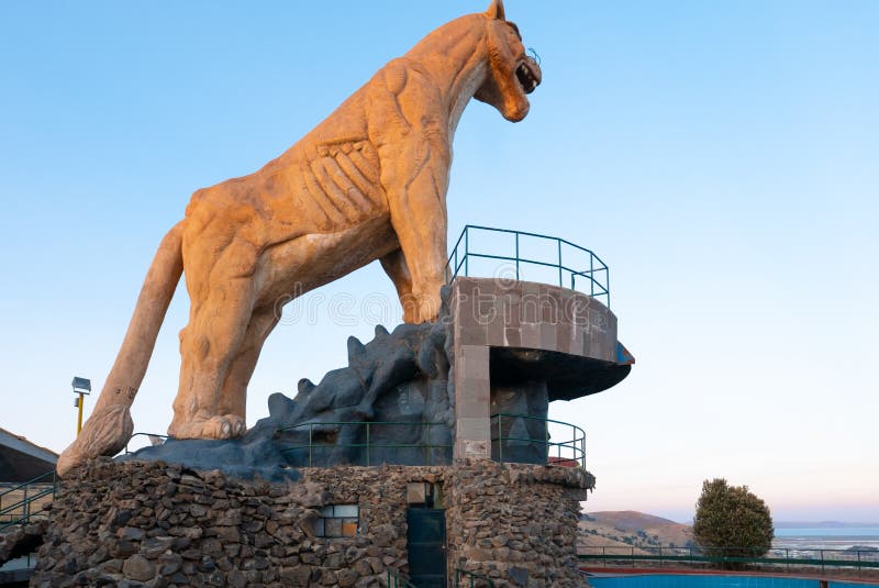 Το τοπικό πάρκο του Περού Puno Puma στο ηλιοβασίλεμα στοκ εικόνες Το τοπικό πάρκο του Περού Puno Puma στο ηλιοβασίλεμα στοκ εικόνες