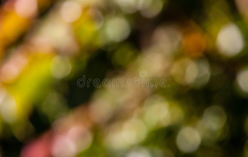 Το φθινόπωρο χρωματίζει bokeh στοκ φωτογραφίες με δικαίωμα ελεύθερης χρήσης