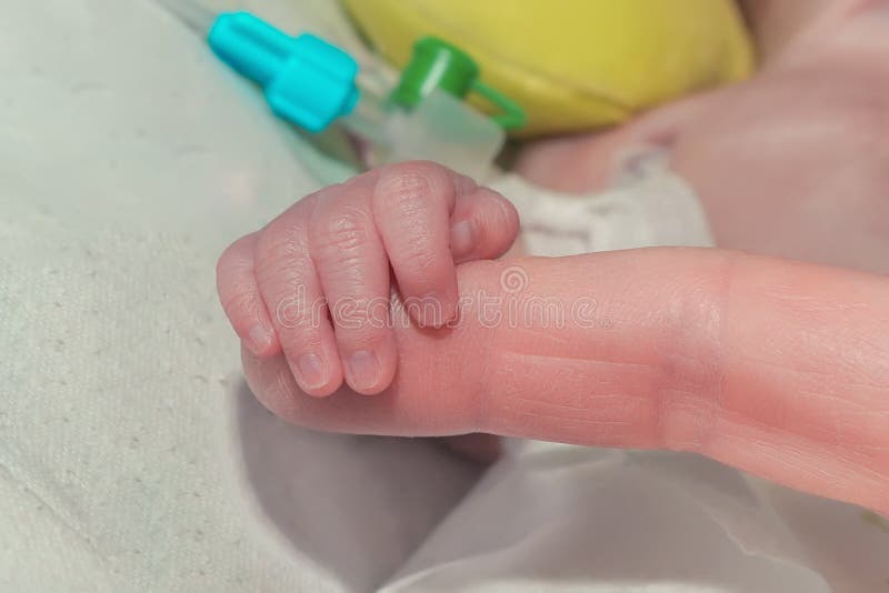 Το χέρι του πρόωρου νεογέννητου μωρού με την πλευρική αποξήρανση κοιλοτήτων κρατά το δάχτυλο μητέρων της στοκ φωτογραφίες Το χέρι του πρόωρου νεογέννητου μωρού με την πλευρική αποξήρανση κοιλοτήτων κρατά το δάχτυλο μητέρων της στοκ φωτογραφίες