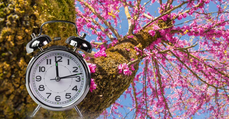 Το χρονικό ρολόι άνοιξη ανθίζει το διάστημα φύσης για το κείμενό σας, υπόβαθρο