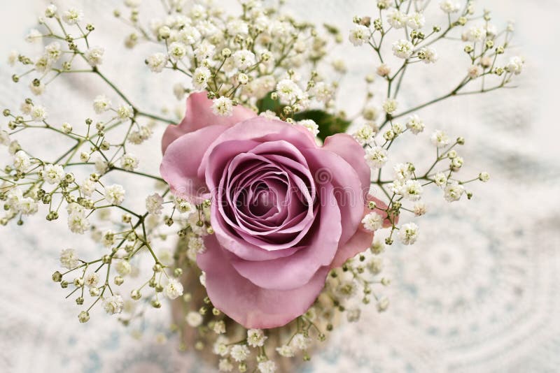 Το όμορφο lavender χρώμα αυξήθηκε με το gypsophilla - τοπ άποψη στοκ φωτογραφίες με δικαίωμα ελεύθερης χρήσης