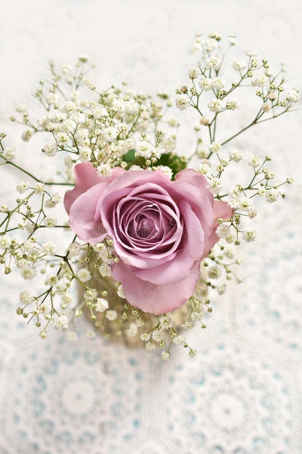 Το όμορφο lavender χρώμα αυξήθηκε με το gypsophilla - τοπ άποψη στοκ φωτογραφία με δικαίωμα ελεύθερης χρήσης