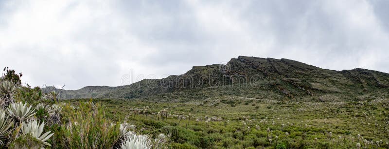 Τομέας των λιμνοθαλασσών Siecha στο paramo Γ Chingaza στοκ εικόνα Τομέας των λιμνοθαλασσών Siecha στο paramo Γ Chingaza στοκ εικόνα