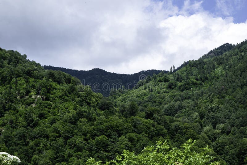 Τοπίο βουνών - μπλε ουρανός, άσπρα σύννεφα, δασική, πράσινη βλάστηση στοκ εικόνα με δικαίωμα ελεύθερης χρήσης