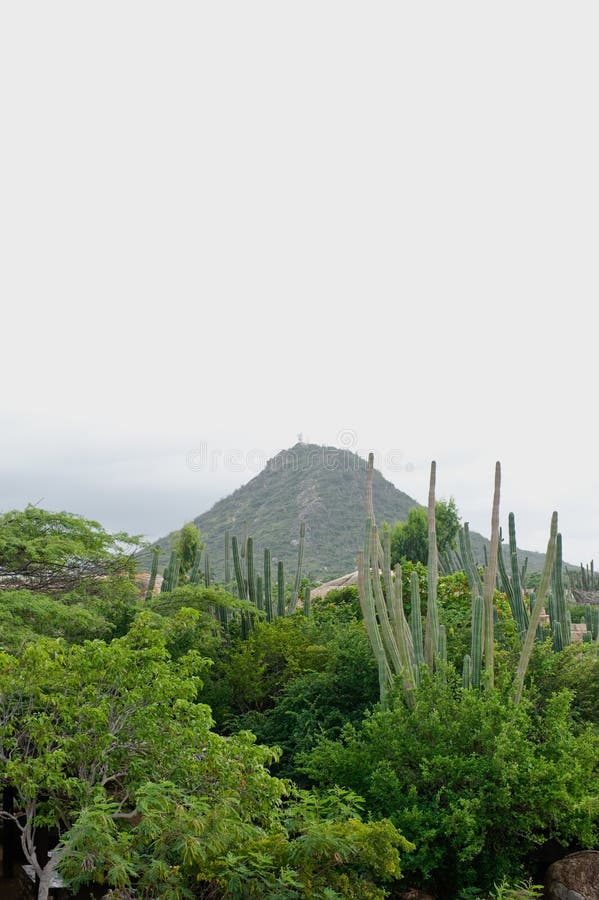 Scenic view of tropical landscape of Aruba island with mountain in background, Lesser Antilles. Scenic view of tropical landscape of Aruba island with mountain in background, Lesser Antilles.