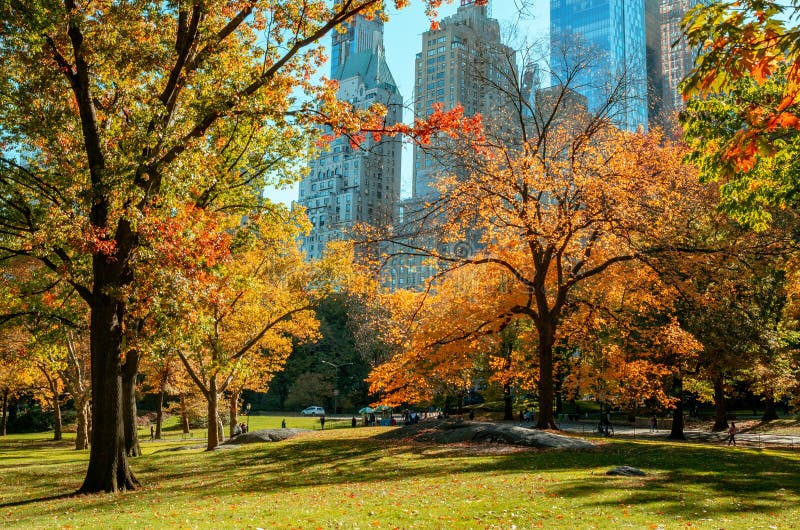 Τοπίο φθινοπώρου στο Central Park πόλη Νέα Υόρκη ΗΠΑ στοκ φωτογραφίες