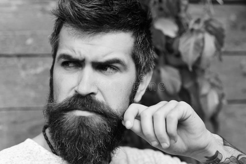 Τοποθέτηση τύπων κοντά στα κόκκινα φύλλα στον τοίχο Φαλλοκράτης με τη γενειάδα στοκ εικόνες με δικαίωμα ελεύθερης χρήσης Τοποθέτηση τύπων κοντά στα κόκκινα φύλλα στον τοίχο Φαλλοκράτης με τη γενειάδα στοκ εικόνες με δικαίωμα ελεύθερης χρήσης