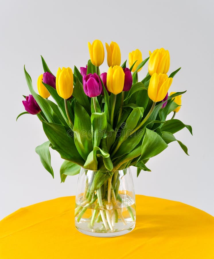 Τουλίπες vase στοκ εικόνες Τουλίπες vase στοκ εικόνες