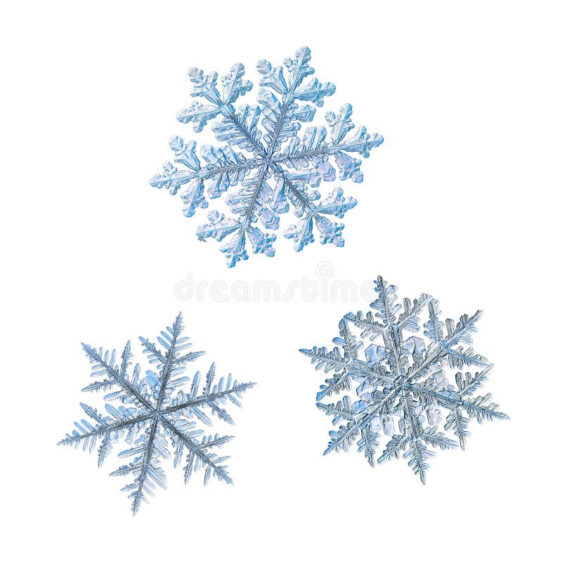 Τρία snowflakes που απομονώνονται στο άσπρο υπόβαθρο στοκ φωτογραφία με δικαίωμα ελεύθερης χρήσης Τρία snowflakes που απομονώνονται στο άσπρο υπόβαθρο στοκ φωτογραφία με δικαίωμα ελεύθερης χρήσης