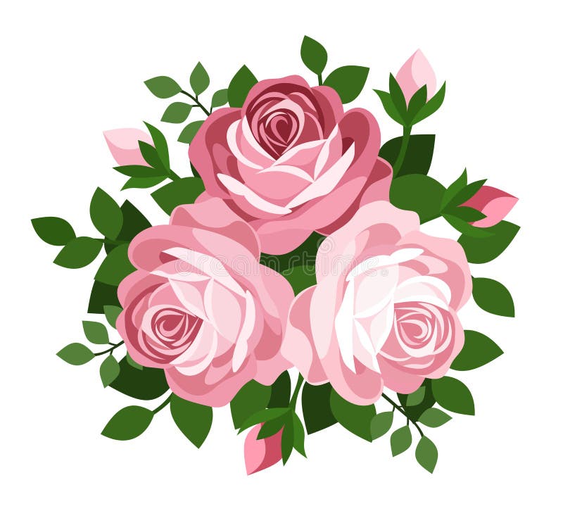 Vector illustration of three pink roses, rosebuds and leaves isolated on a white background. Vector illustration of three pink roses, rosebuds and leaves isolated on a white background.