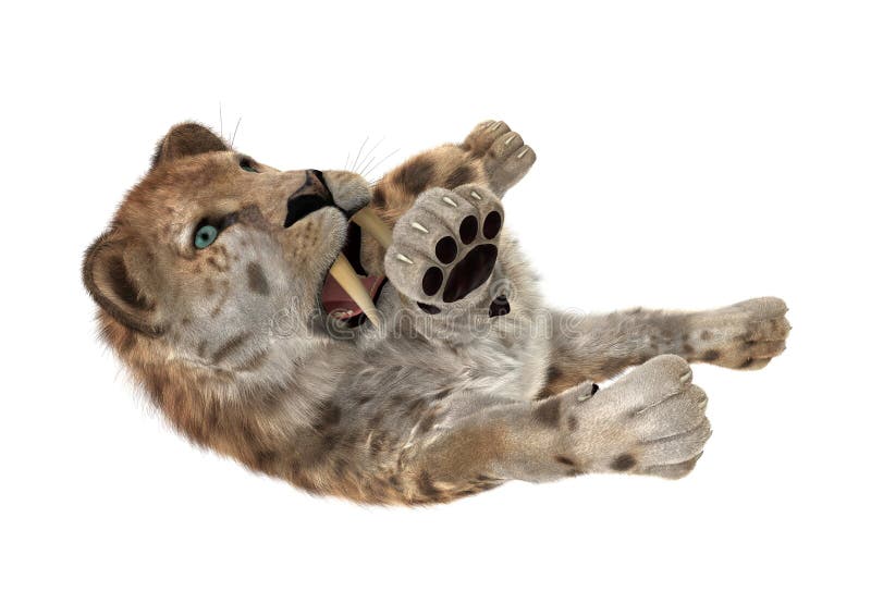 τρισδιάστατη απόδοση Sabertooth Tuger στο λευκό ελεύθερη απεικόνιση δικαιώματος