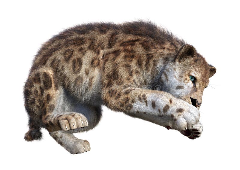 τρισδιάστατη τίγρη απόδοσης Sabertooth στο λευκό ελεύθερη απεικόνιση δικαιώματος