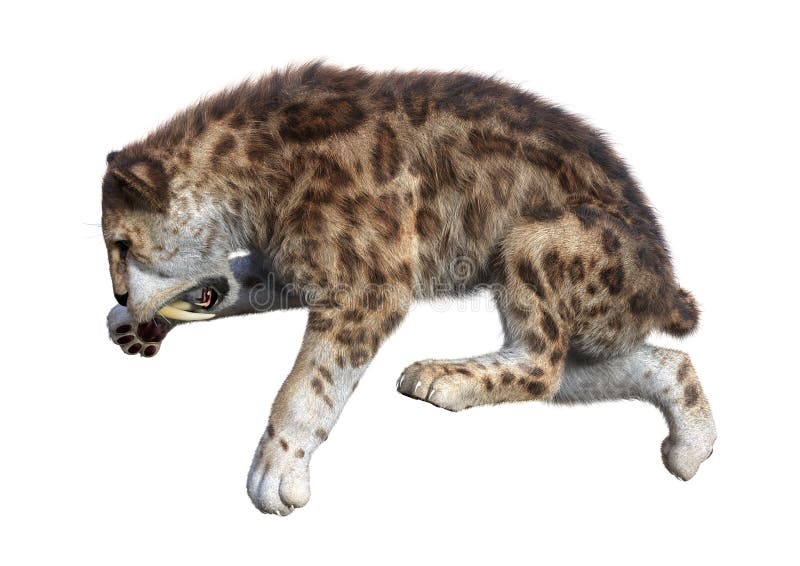 τρισδιάστατη τίγρη απόδοσης Sabertooth στο λευκό ελεύθερη απεικόνιση δικαιώματος