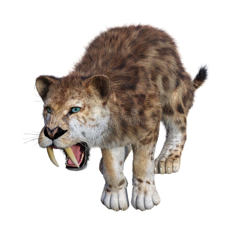 τρισδιάστατη τίγρη απόδοσης Sabertooth στο λευκό διανυσματική απεικόνιση