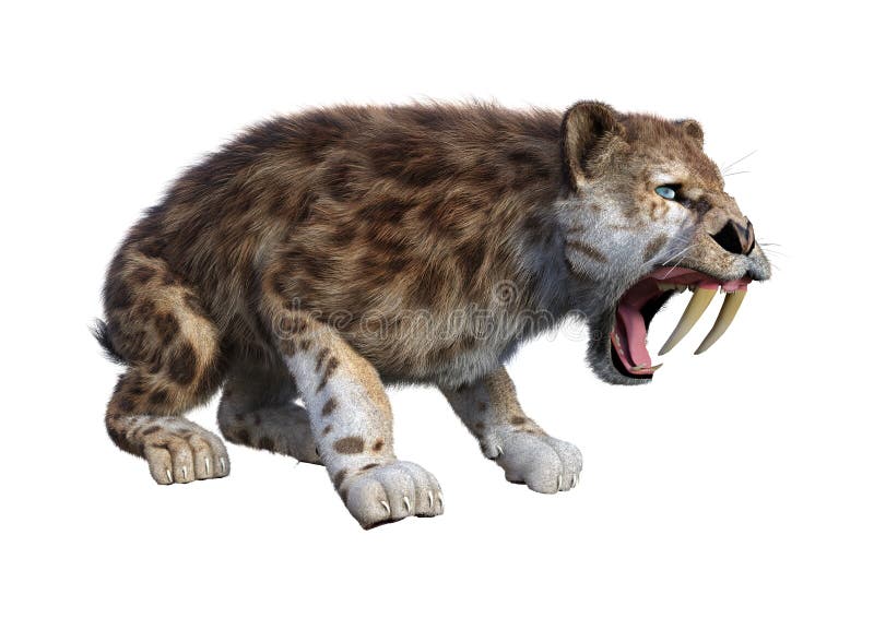 τρισδιάστατη τίγρη απόδοσης Sabertooth στο λευκό απεικόνιση αποθεμάτων